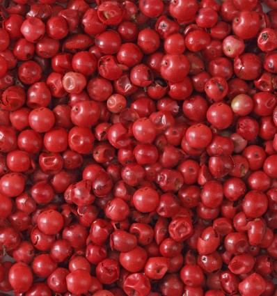 Yodeyma Caribbean eau de parfum