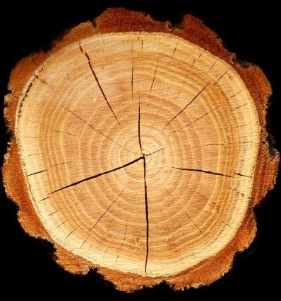 Yodeyma Caribbean eau de parfum