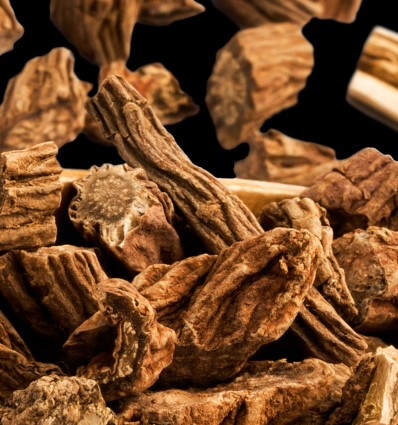 Yodeyma Cheante eau de parfum