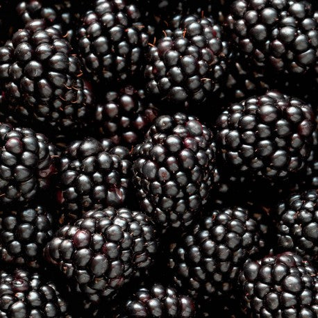 Yodeyma Mia eau de parfum