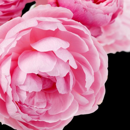 Yodeyma Prime eau de parfum