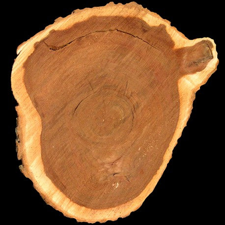 Yodeyma Kent eau de parfum