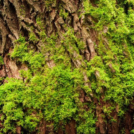 Yodeyma Active man eau de parfum