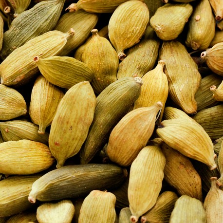 Yodeyma Élet eau de parfum