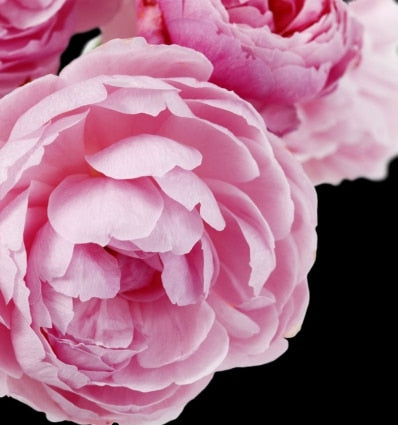 Yodeyma Cheante eau de parfum