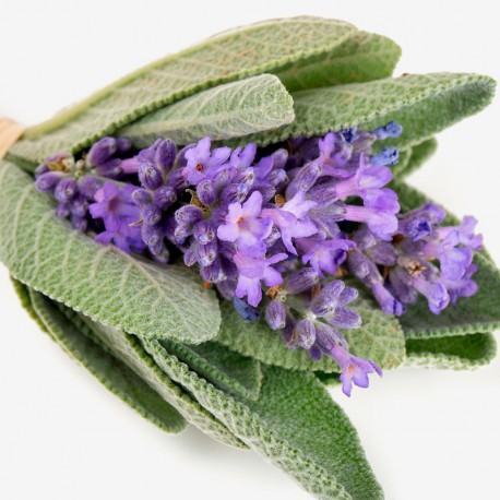 Yodeyma Houston eau de parfum