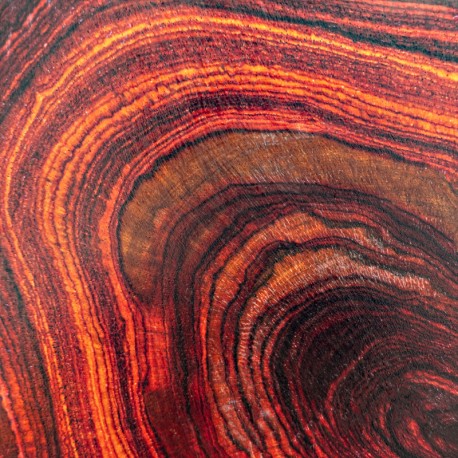 Yodeyma Houston eau de parfum