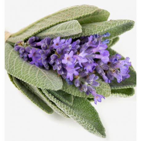 Yodeyma Beach eau de parfum