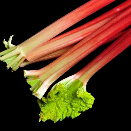 Yodeyma Linet eau de parfum