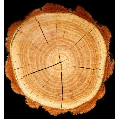 Yodeyma Acqua per uomo eau de parfum