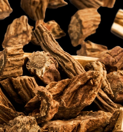 Yodeyma Root eau de parfum