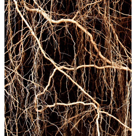 Yodeyma Metal sport eau de parfum