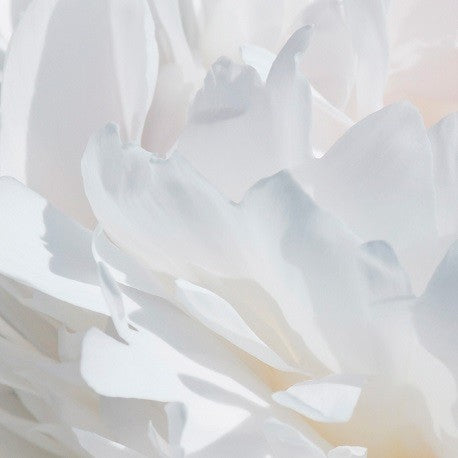 Yodeyma Vália Eau de parfum