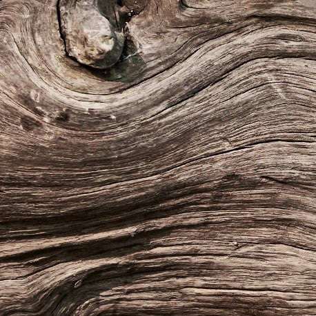 Yodeyma Oseus eau de parfum