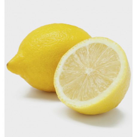 Yodeyma Mint Ocean eau de parfum