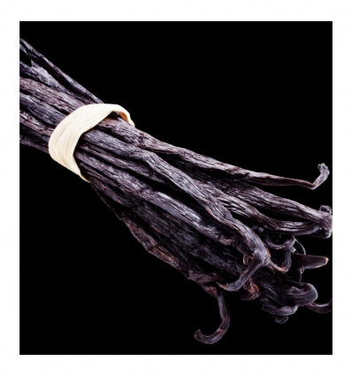 Yodeyma Temis eau de parfum