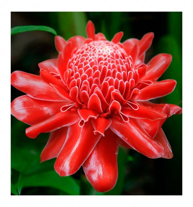 Yodeyma Temis eau de parfum