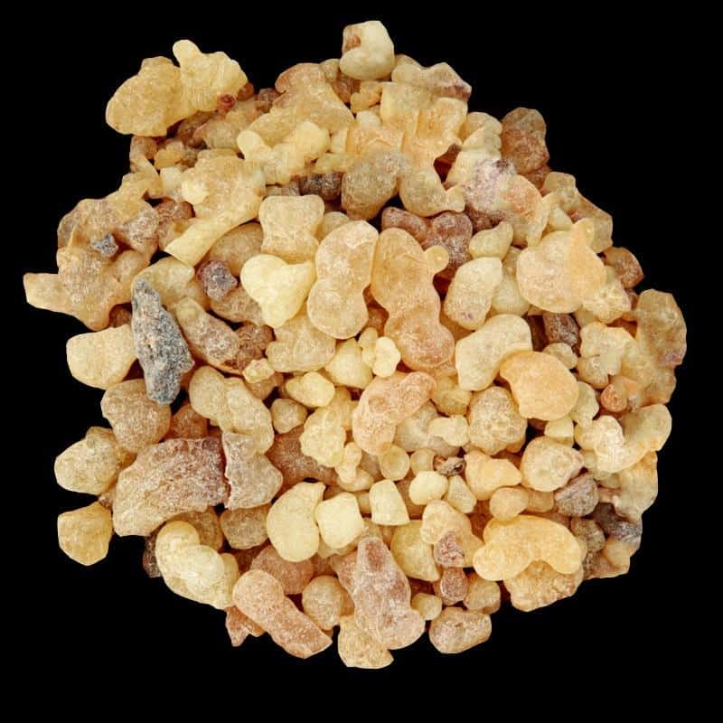 Yodeyma Dinara eau de parfum