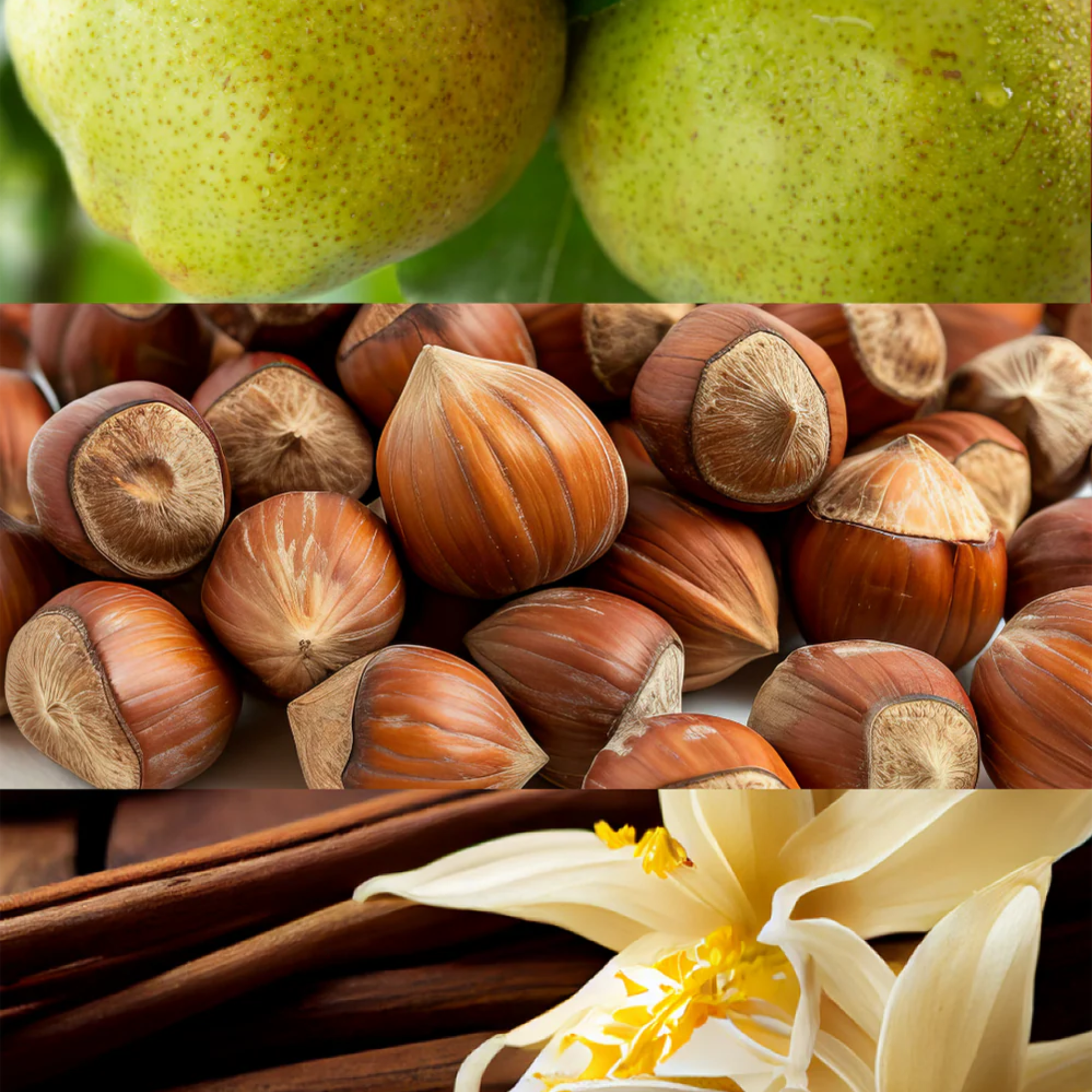 Yodeyma Amira Eau de Parfum