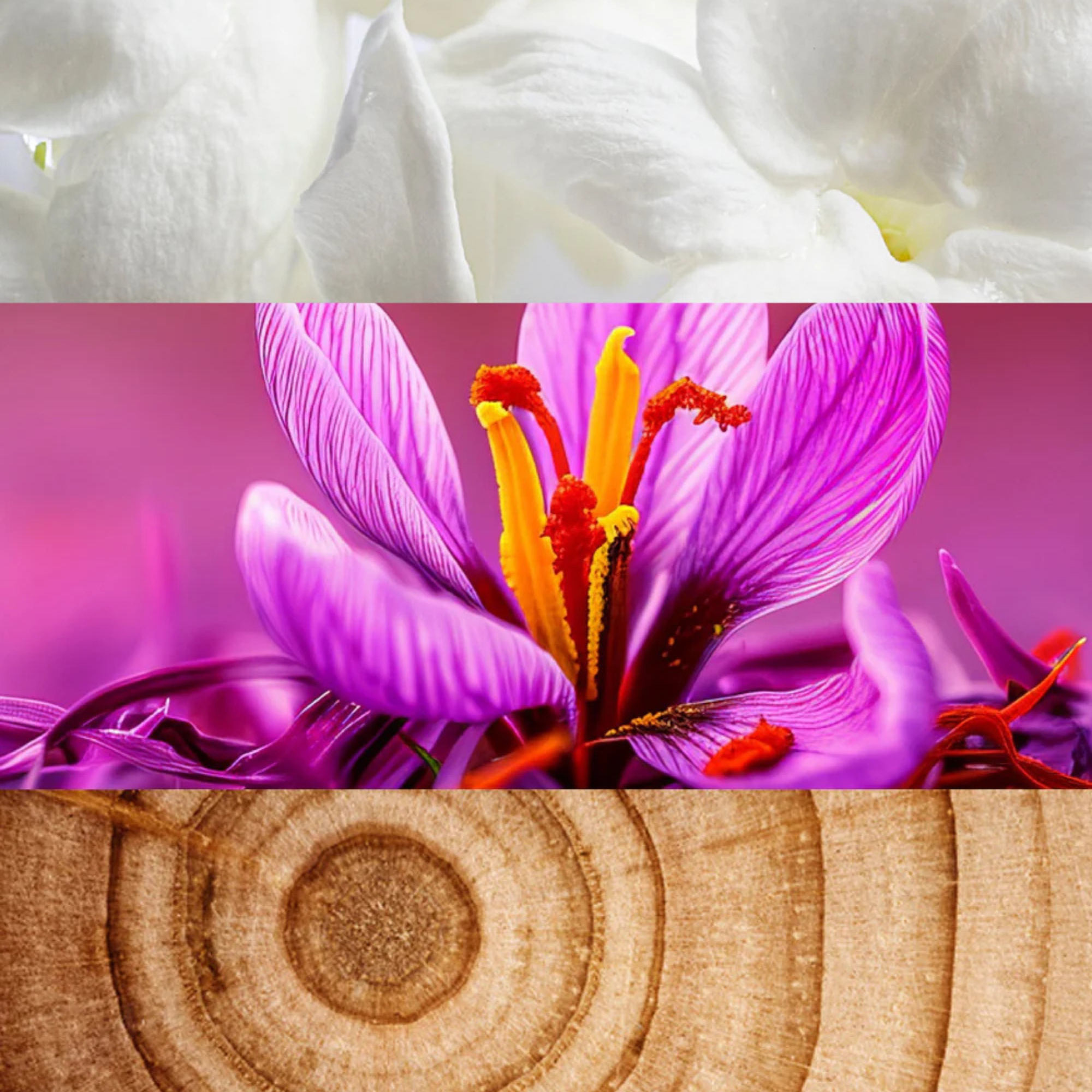 Yodeyma Boreal Eau de Parfum