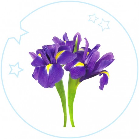 Kids eau de toilette