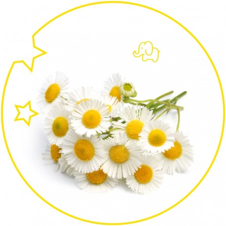 Kids eau de toilette