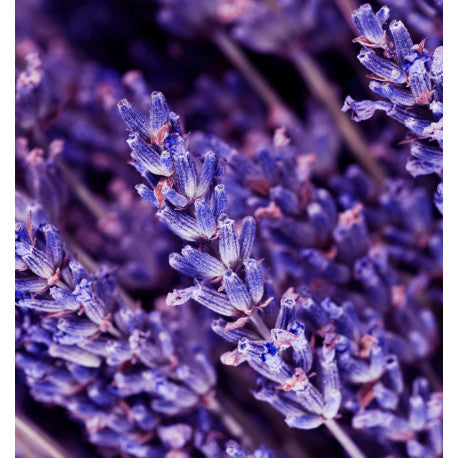 Yodeyma Instint eau de parfum