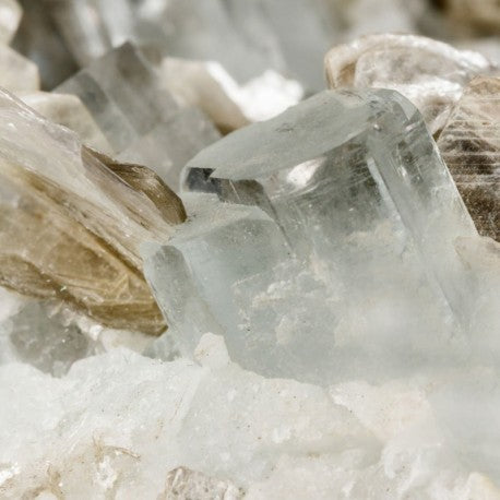 Yodeyma Niche collection - Tayda