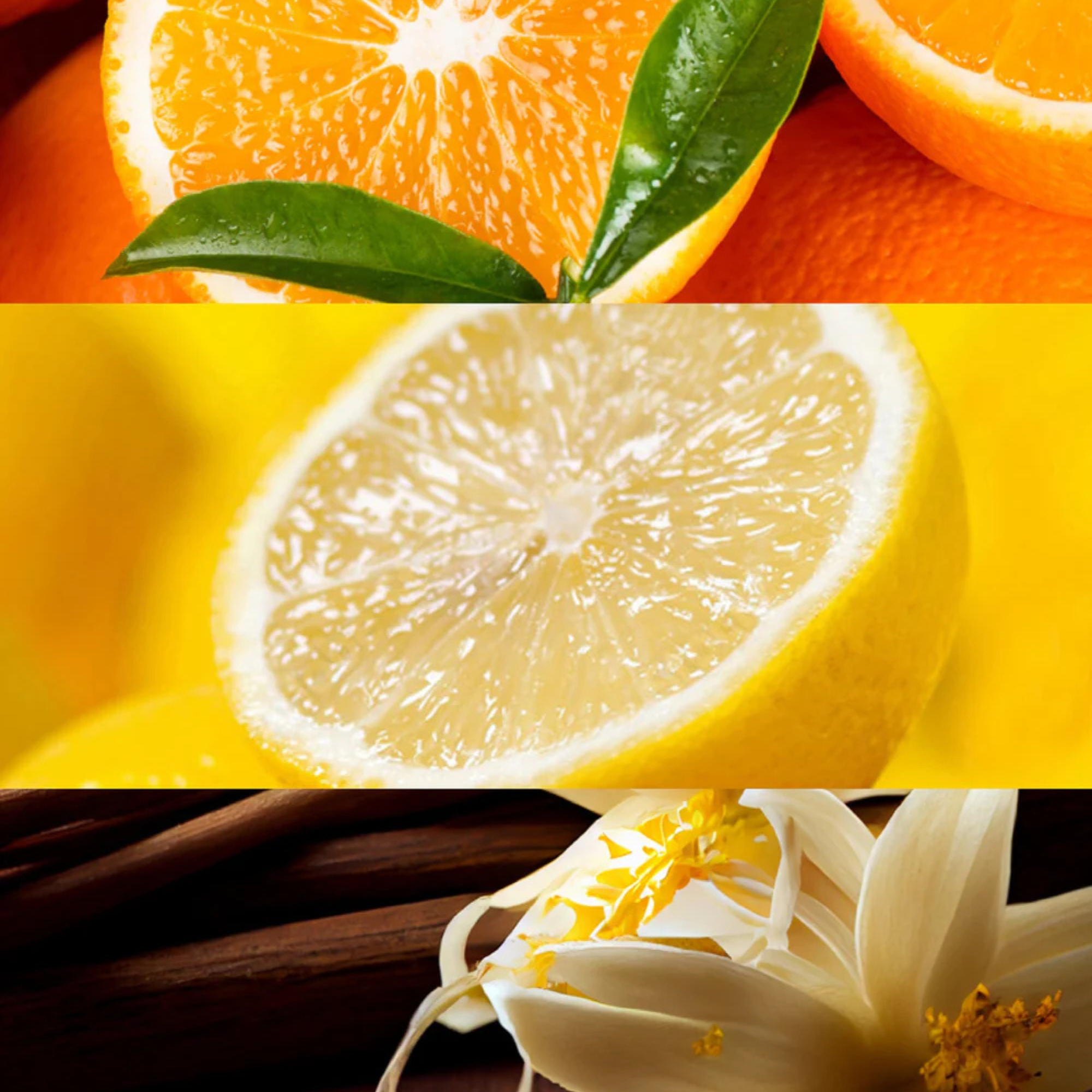 Yodeyma Blue sand Eau de Parfum