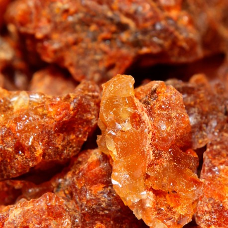 Yodeyma niche collection Ambrax